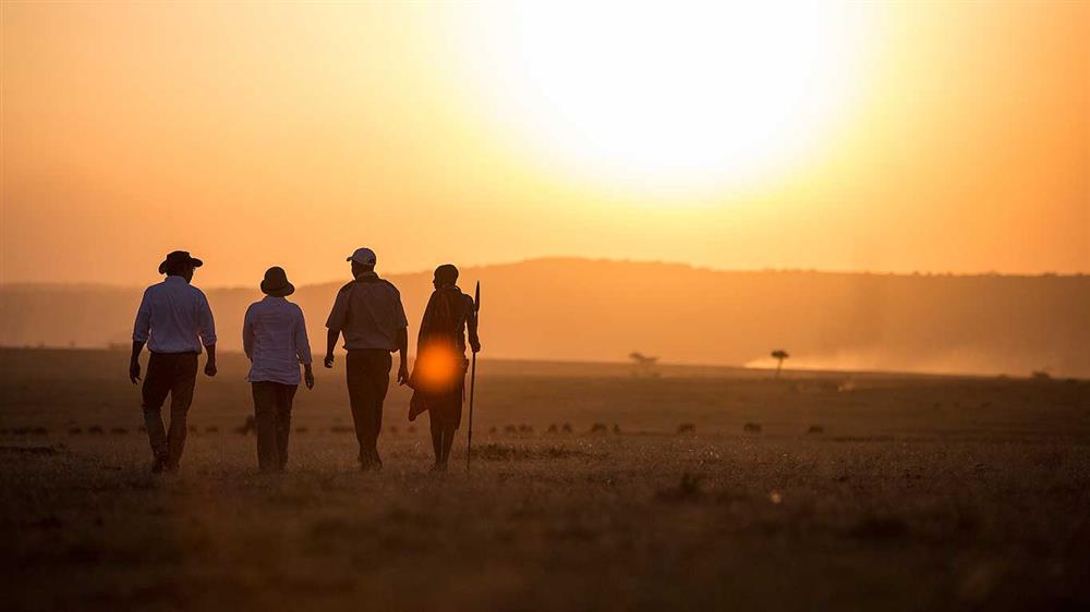 Elephant Pepper Camp